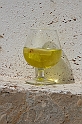 Kanary_2010 061